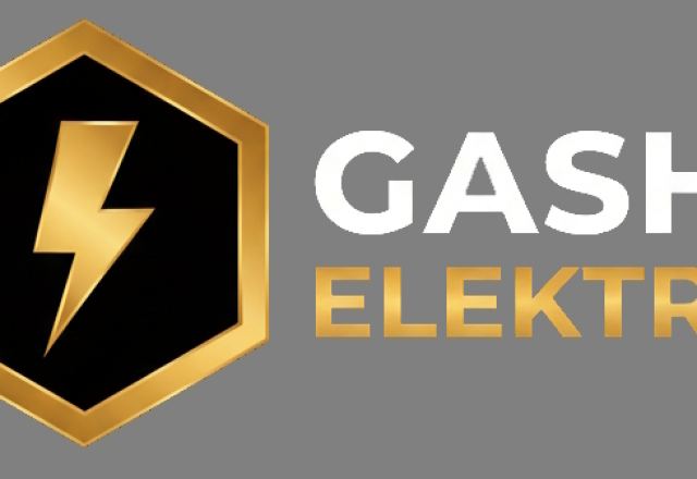 Elektro Gashi Auftritt